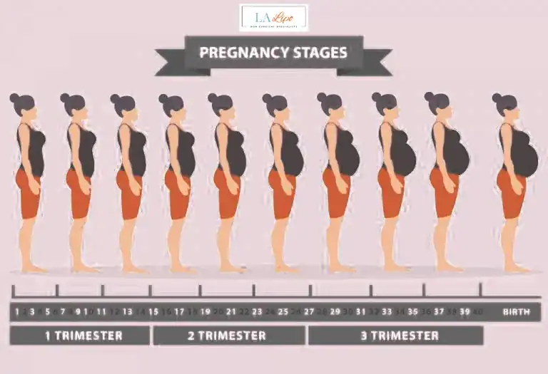 First Trimester (Weeks 1–12): Early Changes You Might Not Notice Brackley